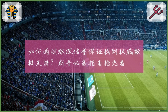 如何通过球探信誉保证找到权威数据支持？新手必备指南抢先看