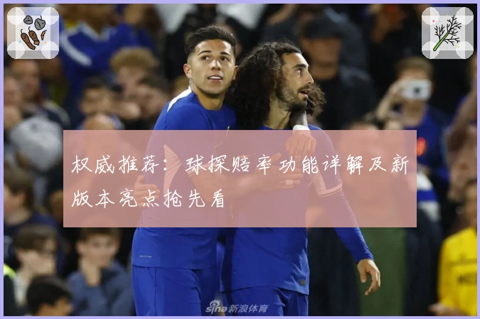 权威推荐：球探赔率功能详解及新版本亮点抢先看