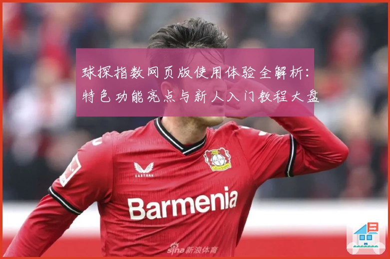 球探指数网页版使用体验全解析：特色功能亮点与新人入门教程大盘点