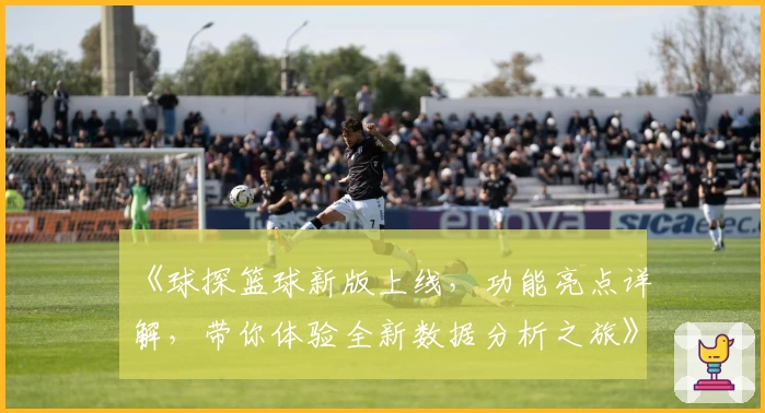 《球探篮球新版上线，功能亮点详解，带你体验全新数据分析之旅》
