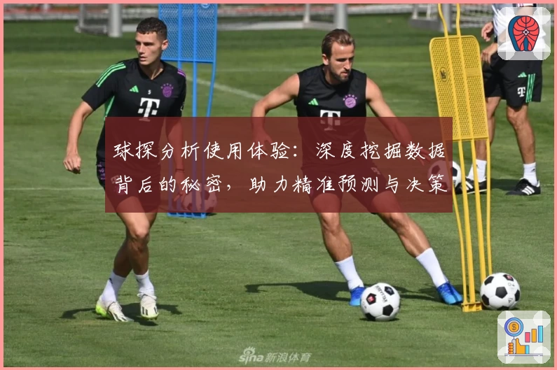 球探分析使用体验：深度挖掘数据背后的秘密，助力精准预测与决策