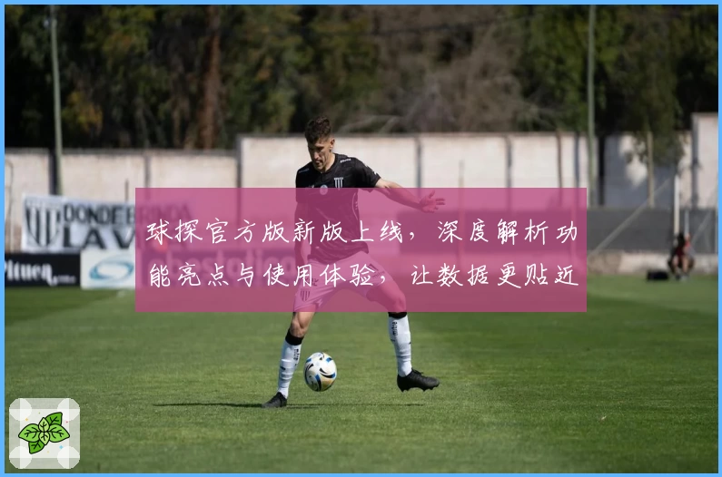 球探官方版新版上线，深度解析功能亮点与使用体验，让数据更贴近每一位用户