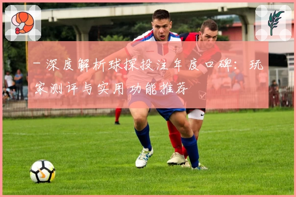 - 深度解析球探投注年度口碑：玩家测评与实用功能推荐