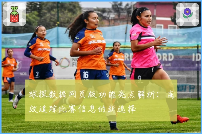 球探数据网页版功能亮点解析：高效追踪比赛信息的新选择